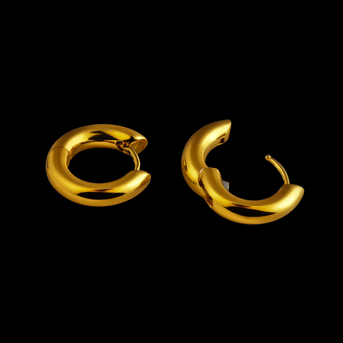 Icon Hoops Earrings