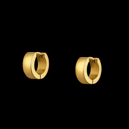 Bold Hoops Earrings