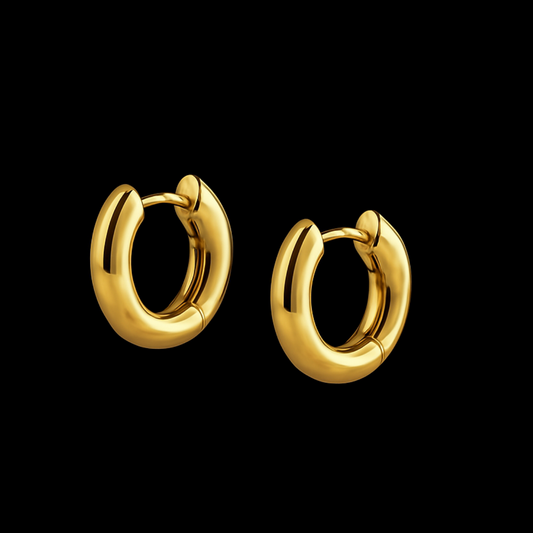 Icon Hoops Earrings