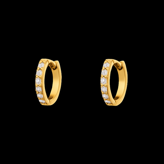 Sparkle Hoops Earrings