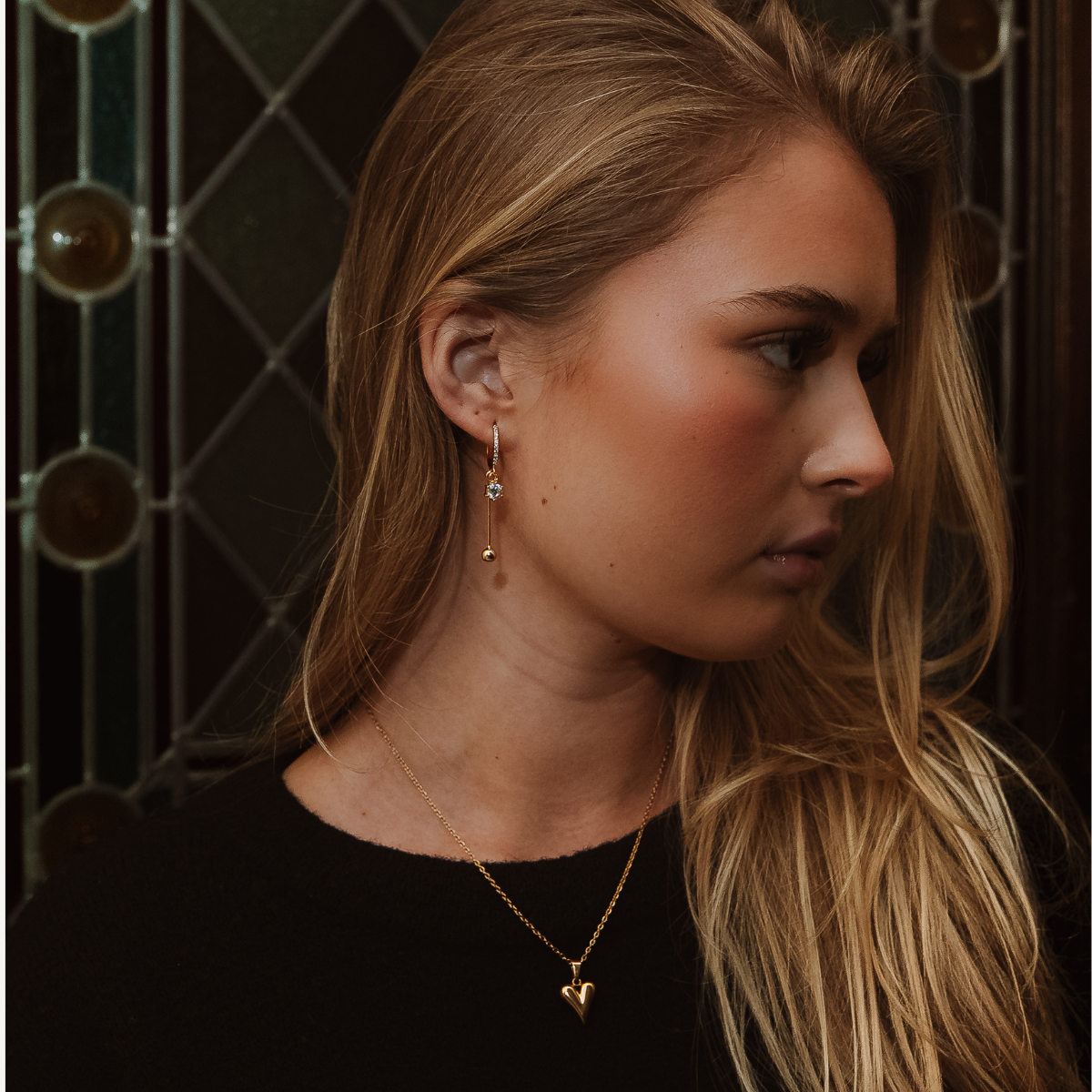 Hoop Dangle Earrings