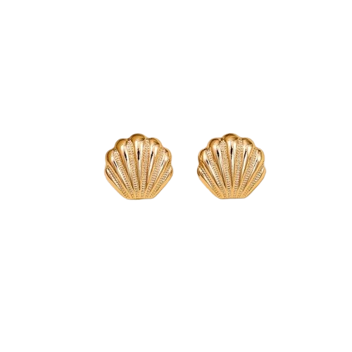 Shell Studs Earrings